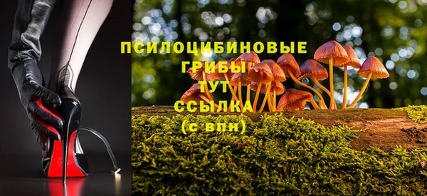 бошки Алексеевка