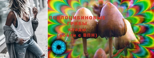 скорость Алзамай