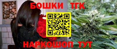 дмт Гай