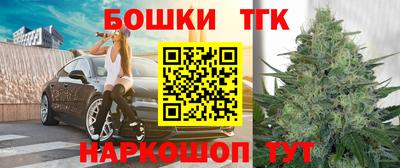 МДПВ Гагарин