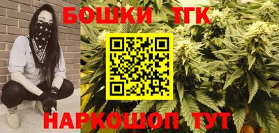 дмт Гай