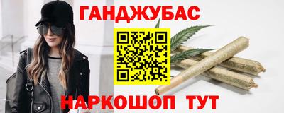 дмт Гай