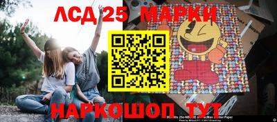 дмт Гай