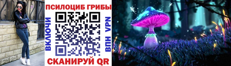 Псилоцибиновые грибы Psilocybine cubensis  купить наркотики сайты  Красноармейск 