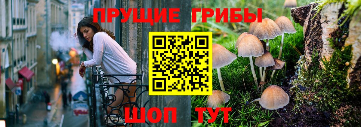 Псилоцибиновые грибы прущие грибы  Псилоцибиновые грибы прущие грибы  Вход с VPN  Красноармейск 